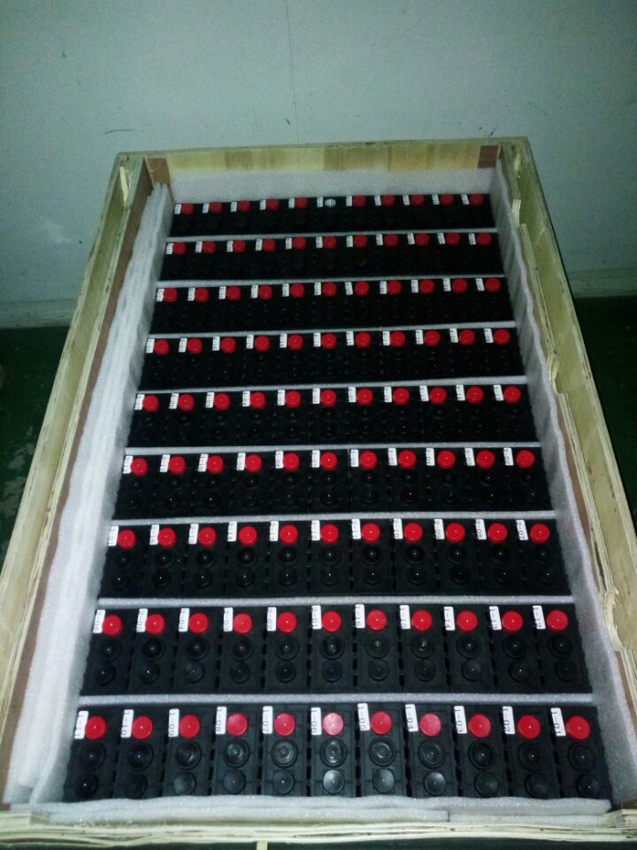60AH Sinopoly LiFePO4 Battery to South Africa