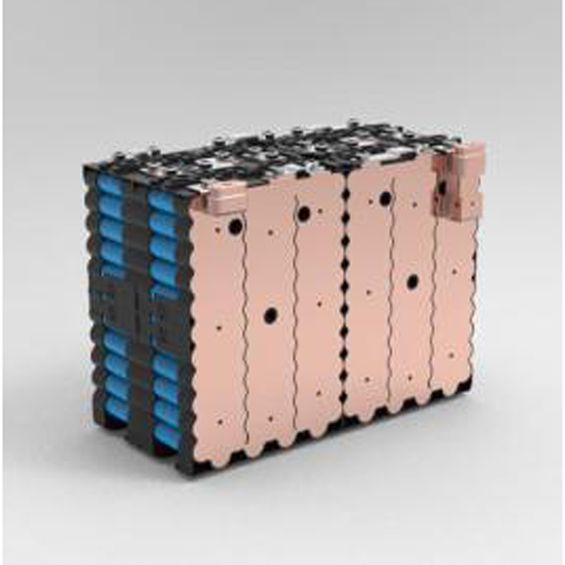 Customized 12V 18V 24V 36V 18650 LiFePO4 Battery Module Pack