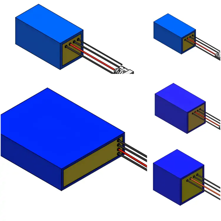 Customized 5 designs of 12V lithium battery pack for surveillance camera