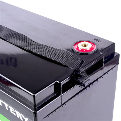 details of 100Ah lifepo4 battery