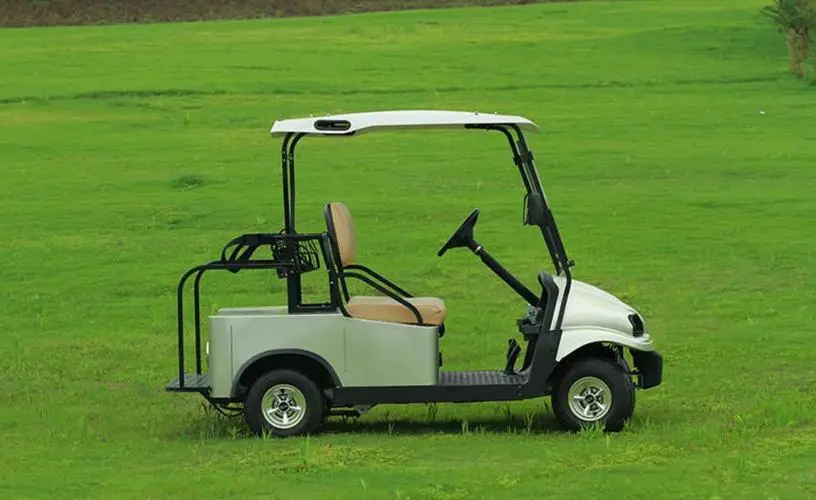 Lithium Golf Cart Batteries: The Future of Power