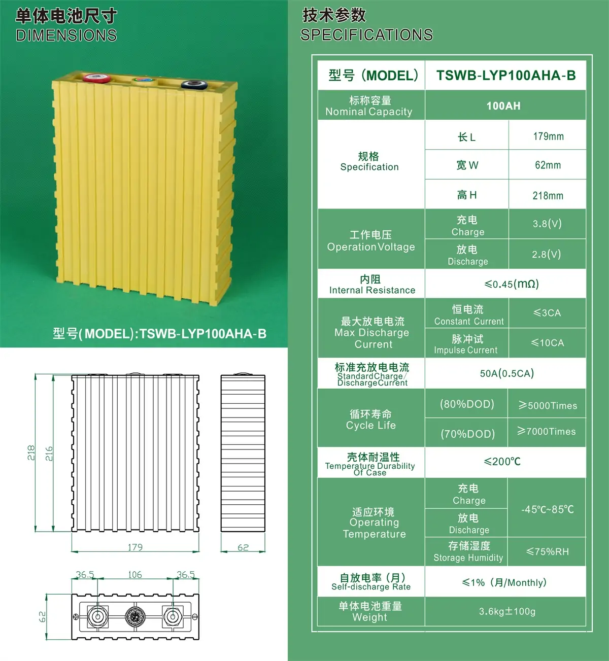 TSWB-LYP100AHA-B