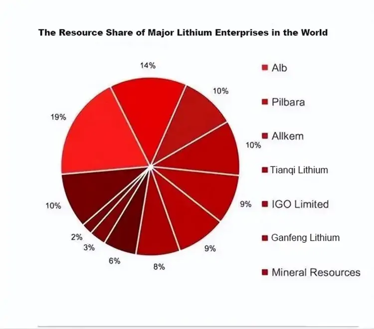 the resourece share of major lithium enterprises in the world