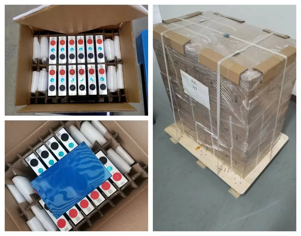 Packing details of eve 105ah lifepo4 battery cell