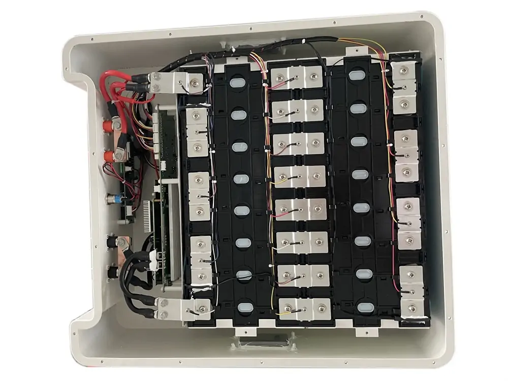 brand new grade A lifepo4 cells inside the battery module