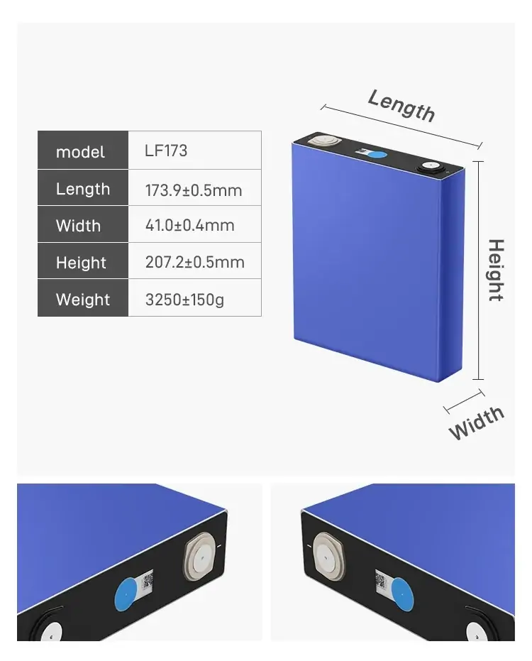 dimensions of lf173