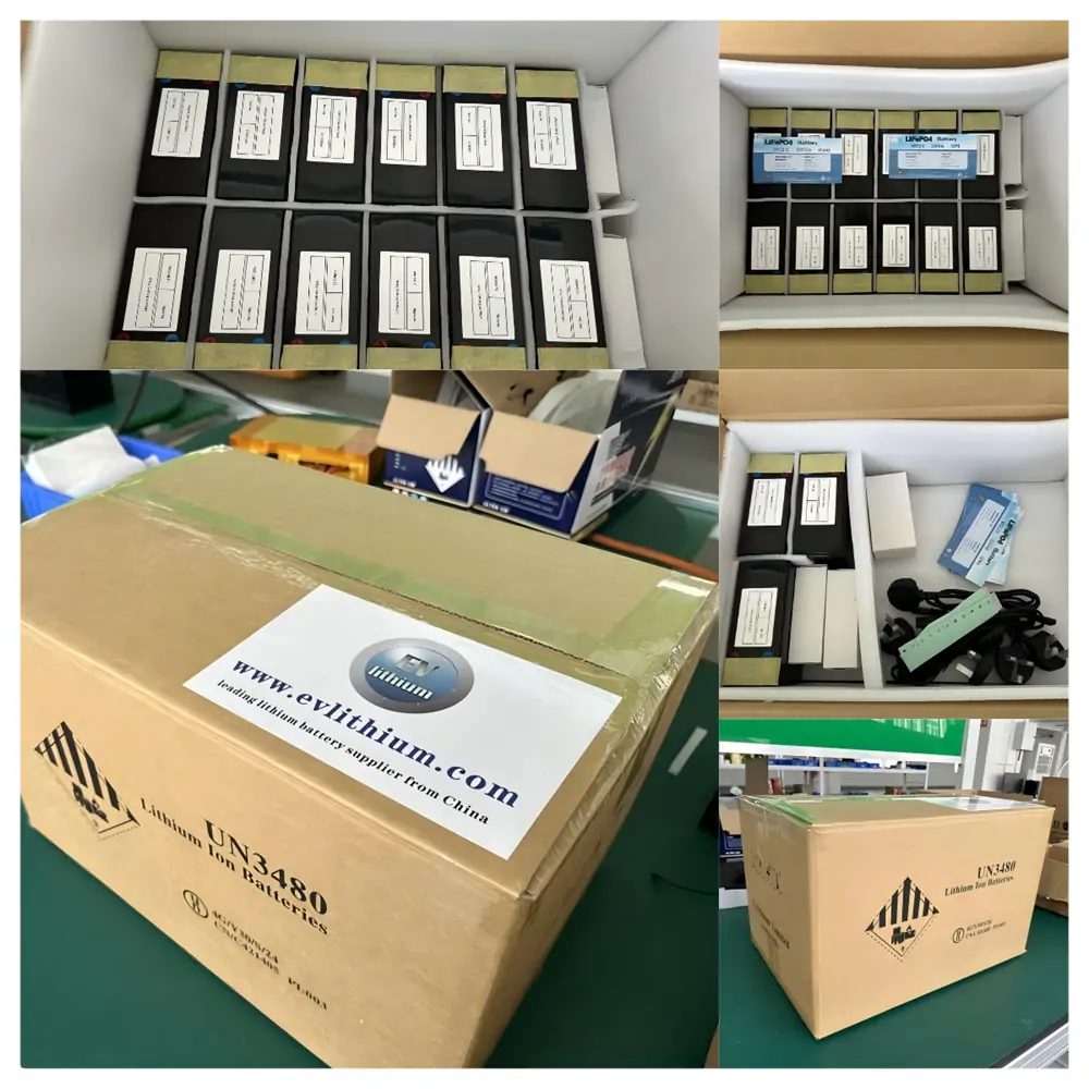 package of lithium battery packs and chargers