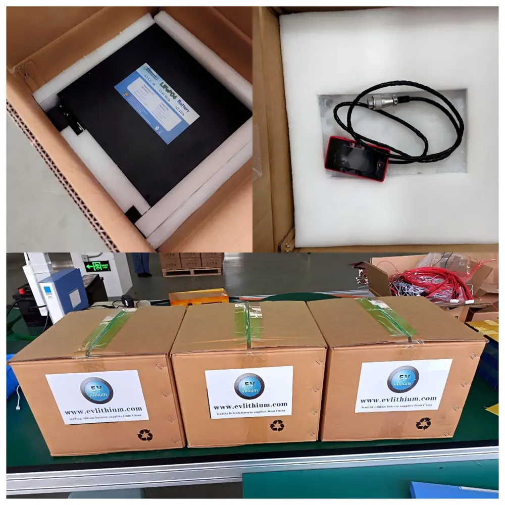 Customized 12.8V58Ah lifepo4 battery packs and ER14505 battery cells to Taiwan