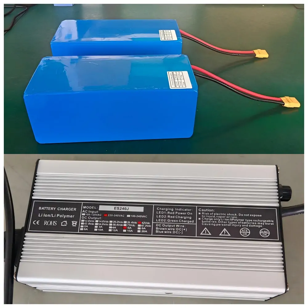 Customized 36V20Ah NMC battery packs and 180W charger