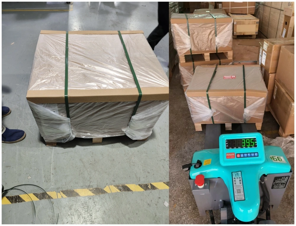 48V 100A single-phase 220V charger