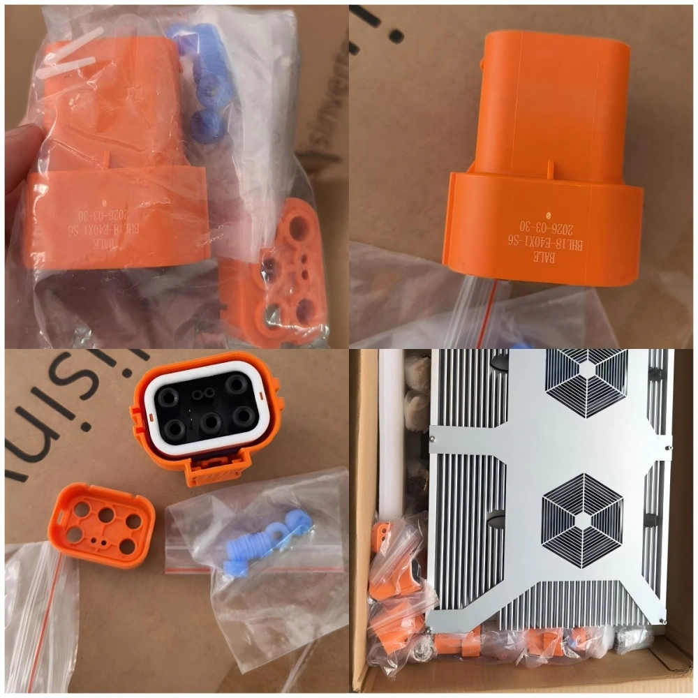 10kW Three-Phase AC-DC On-Board Charger Shipped to Australia