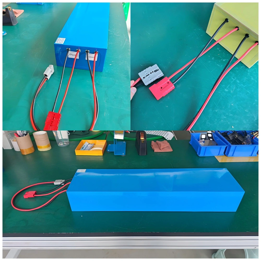 Shipped Custom 51.2V 50Ah E-Bike Batteries to Italy