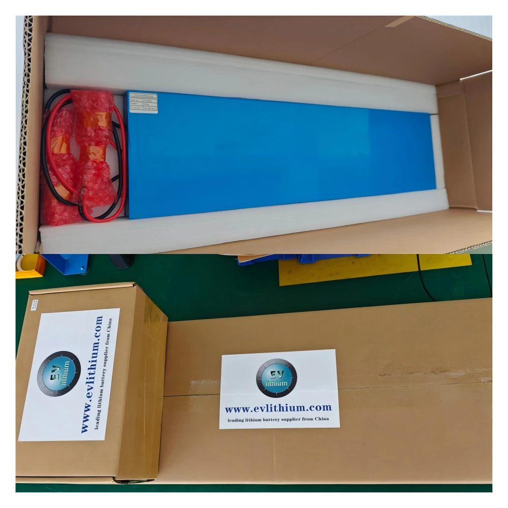 Shipped Custom 51.2V 50Ah E-Bike Batteries to Italy
