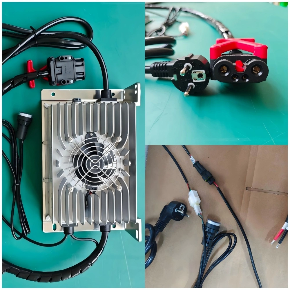 SMCZ2P-4825C 2kW Charger Supplied for Portuguese Paxster EV Client