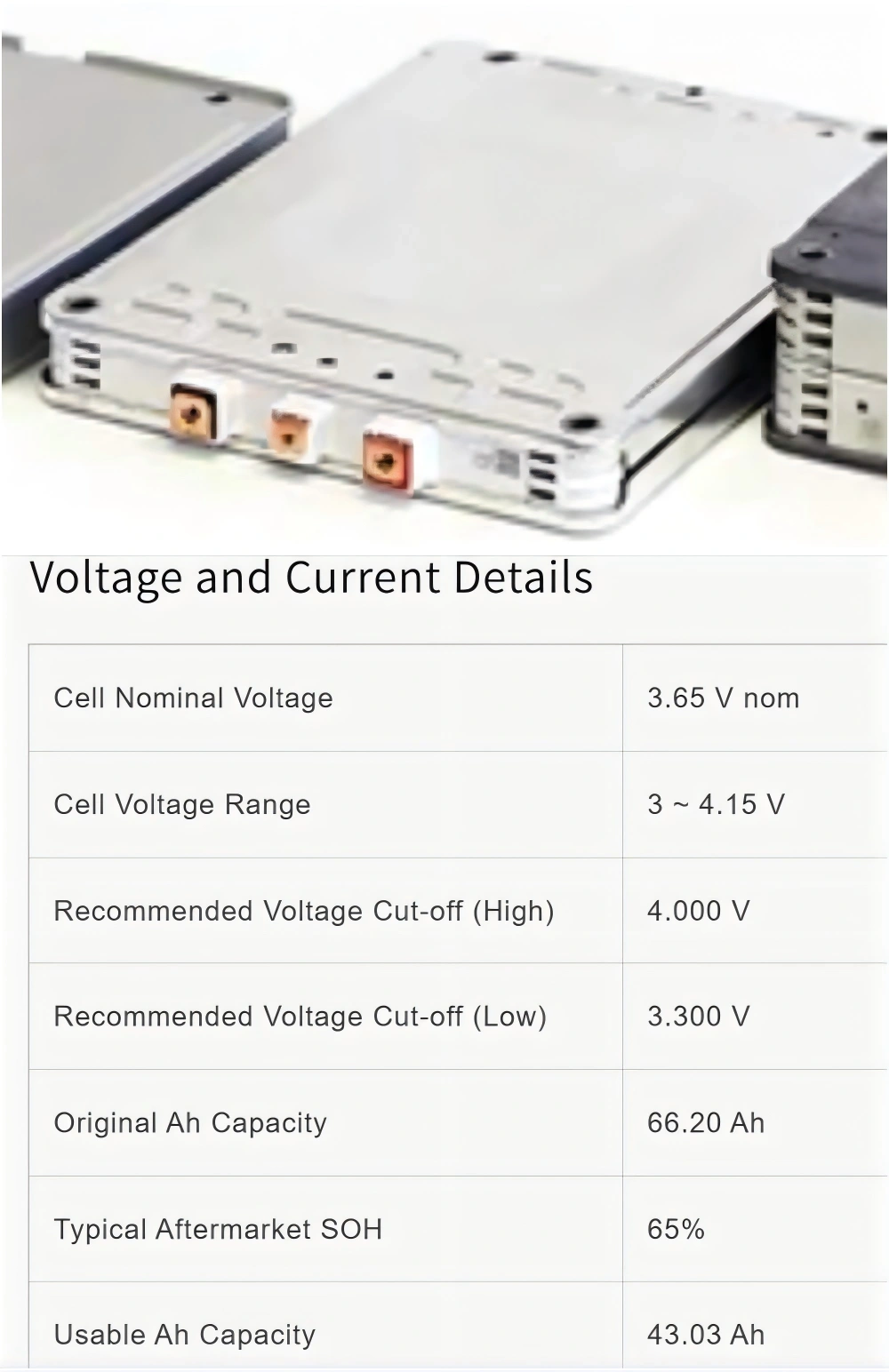 6.6kW Charger & 38S BMS for Sri Lanka Customer's Leaf Battery Build